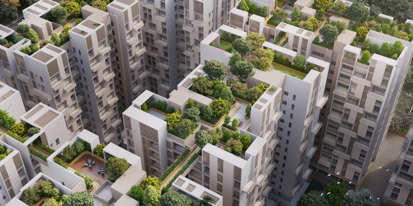 Landscaped terrace Garden